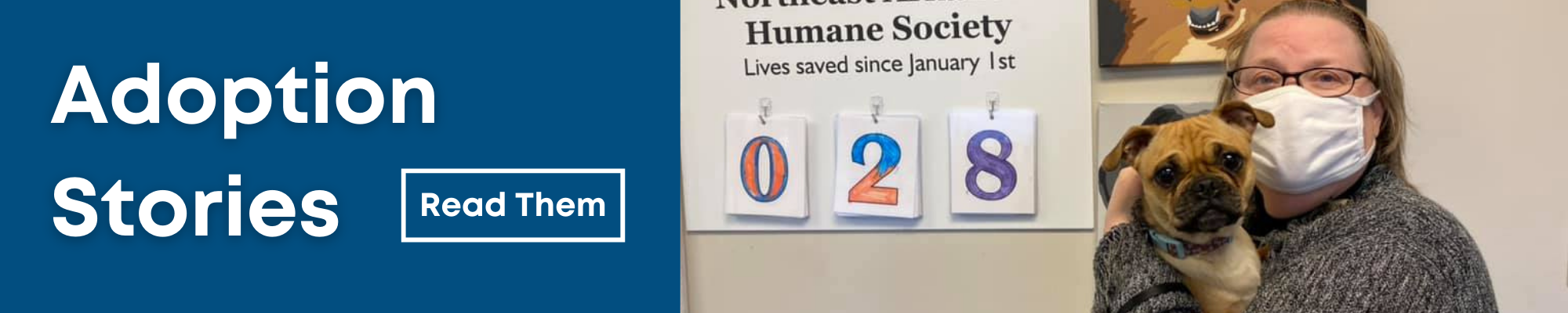 click here to see adoption stories 