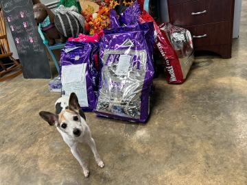 Sadi with dog food 